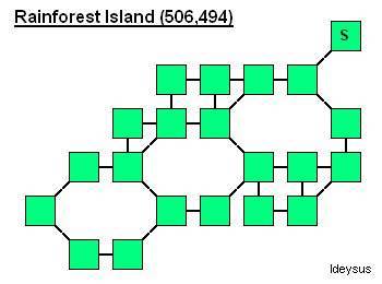 rainforest.jpeg